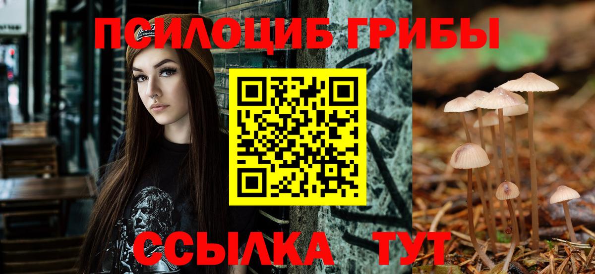 Чистополь  Галлюциногенные грибы Cubensis  Вход с VPN 