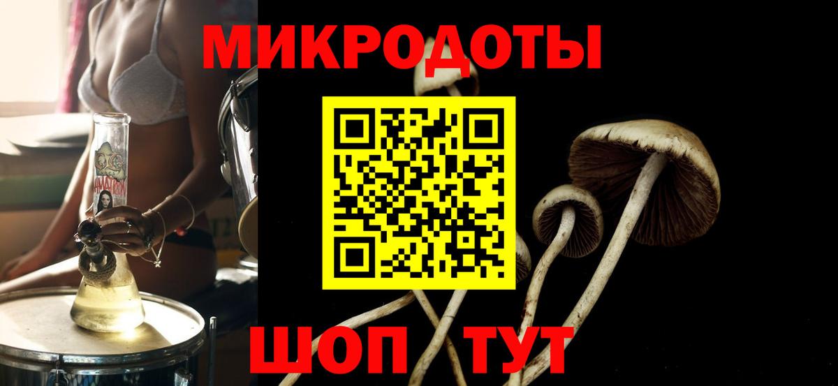 Галлюциногенные грибы Magic Shrooms Чистополь